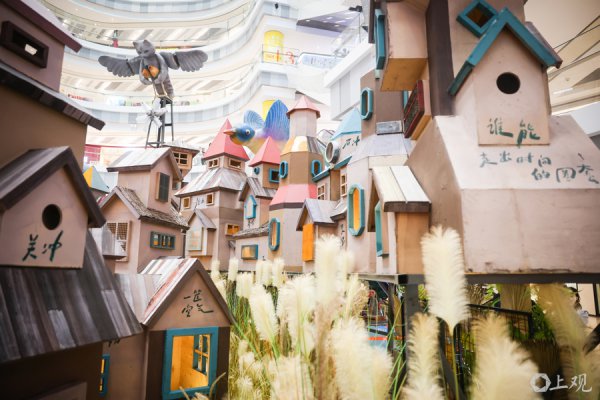 【城市歌乐】从丽江到上海：乔小刀\